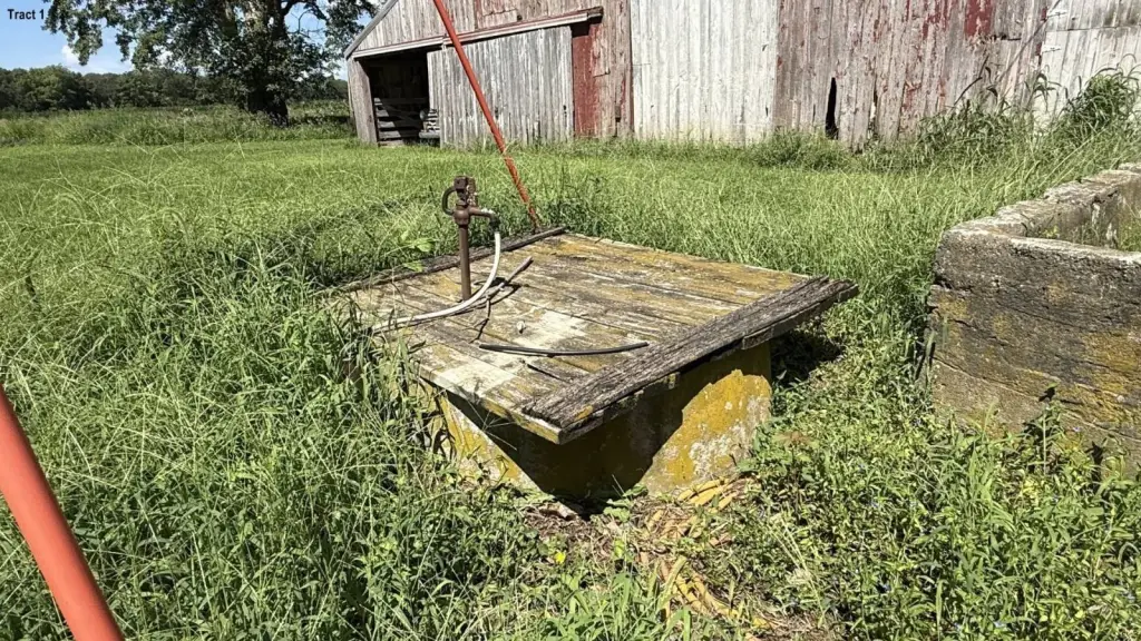 Picture 22