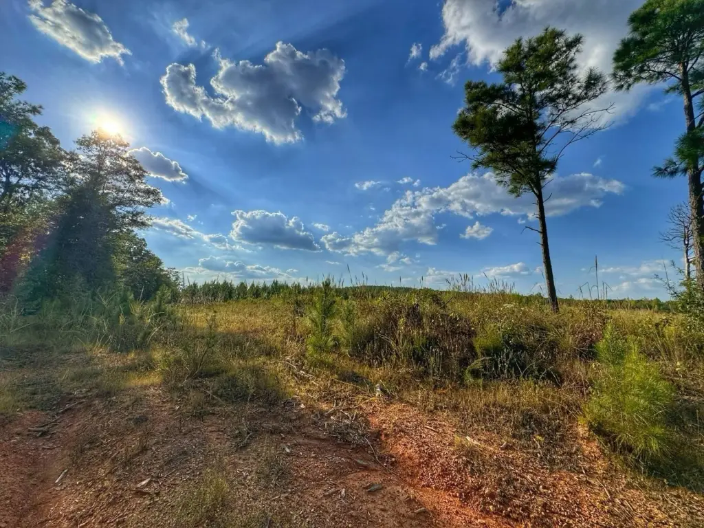 Picture 27