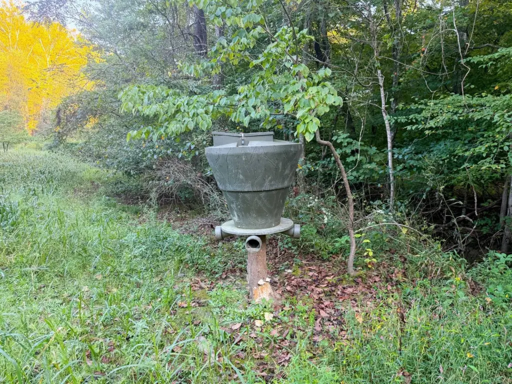 Picture 36