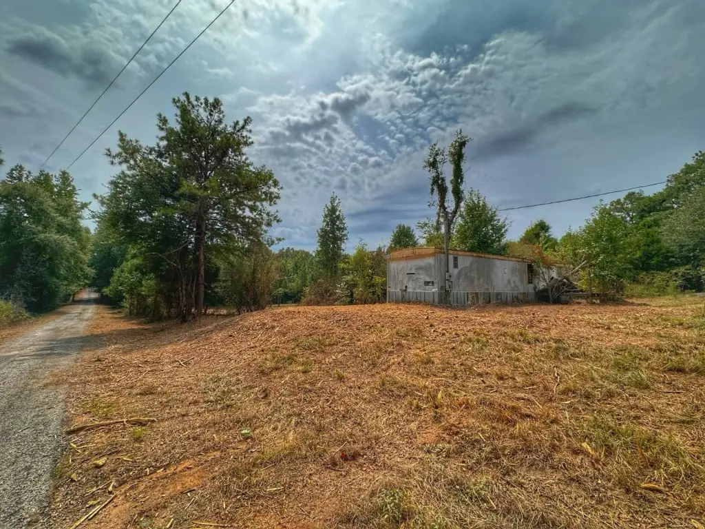 Picture 23