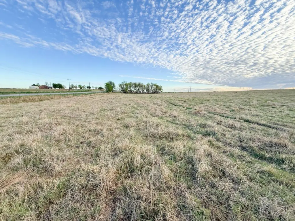 Picture 24