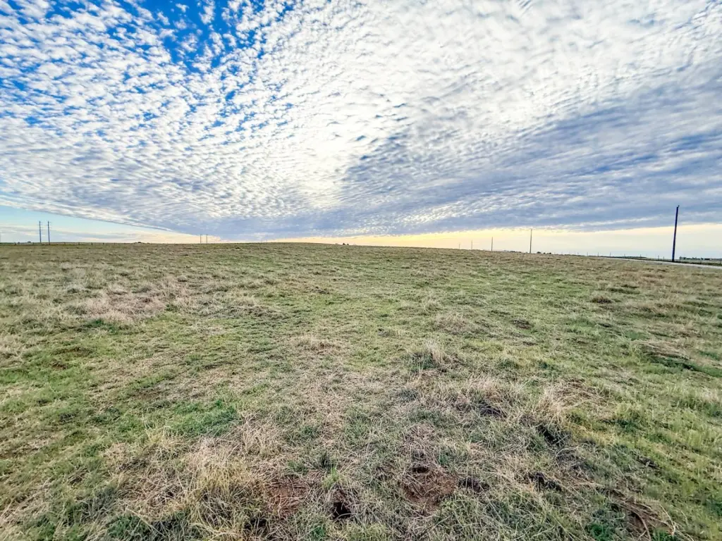 Picture 26
