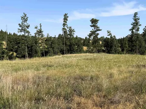 Scenic View Land