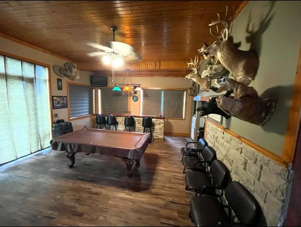 Picture 11