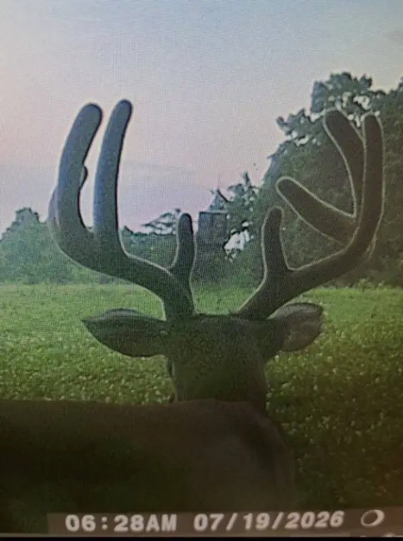 Picture 41