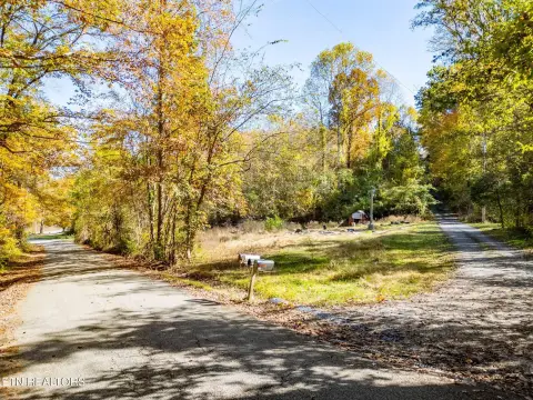 Cleared Lot in Rockwood, TN