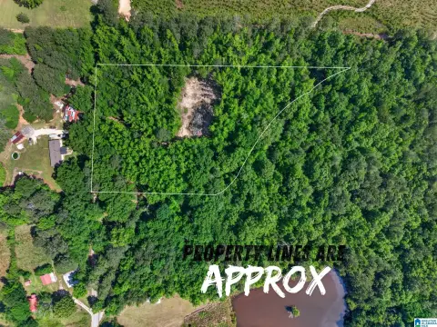 Piedmont Acreage: Unrestricted 4.2 Acres