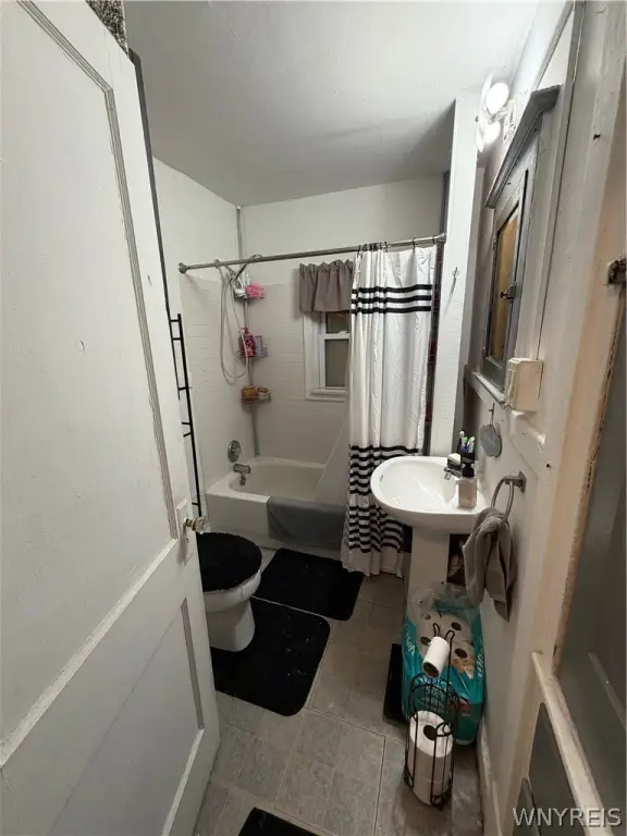 Picture 6
