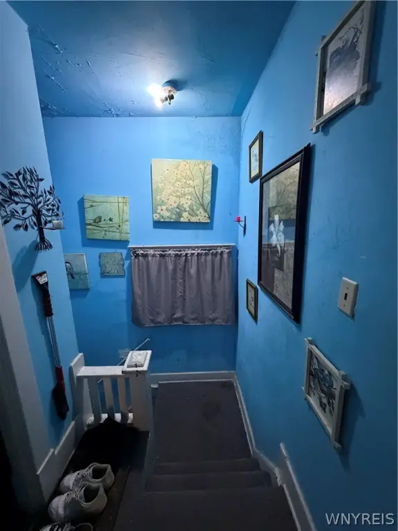 Picture 20
