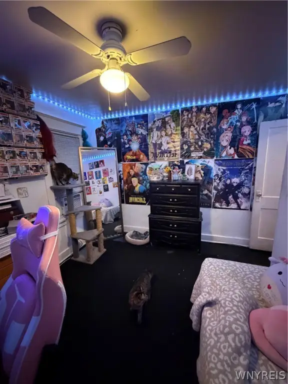 Picture 16