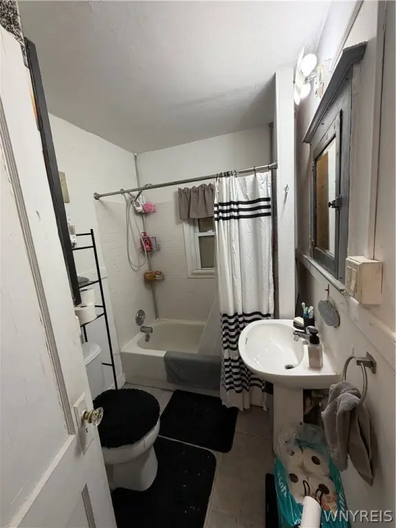 Picture 7