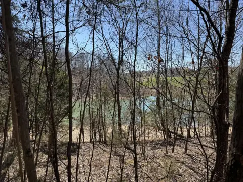Talbott, TN Lakefront Lot