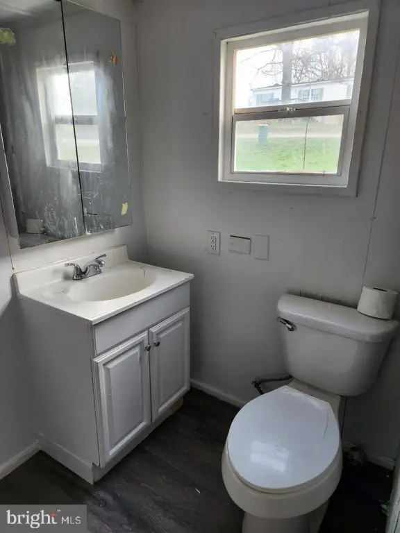 Picture 16
