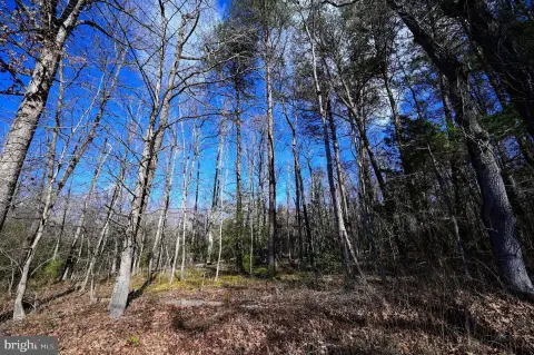 Secluded Wooded Land in Indian Head