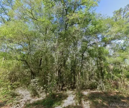 Residential Land Lot in Dunnellon