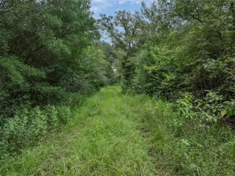 Secluded Hunting Land in Normangee