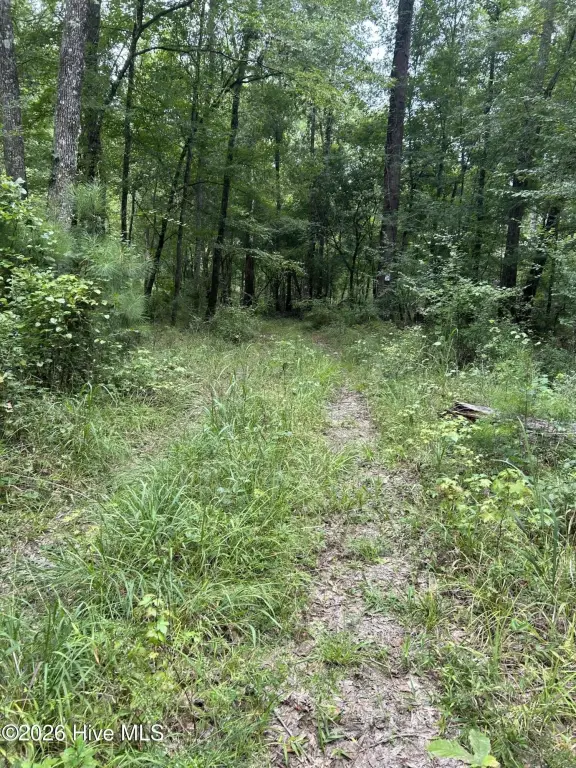 Picture 2