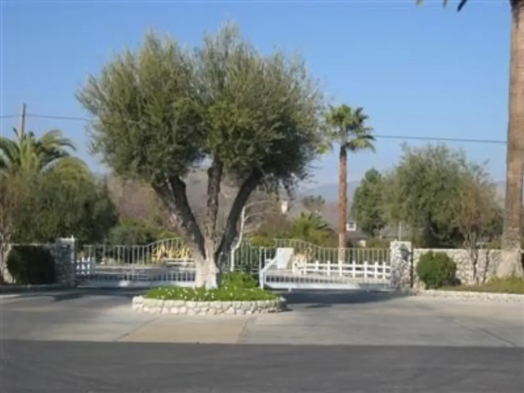 Picture 4