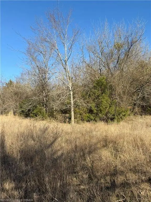Picture 15