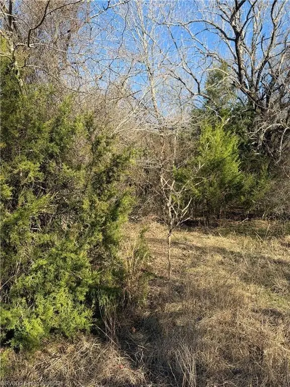 Picture 13
