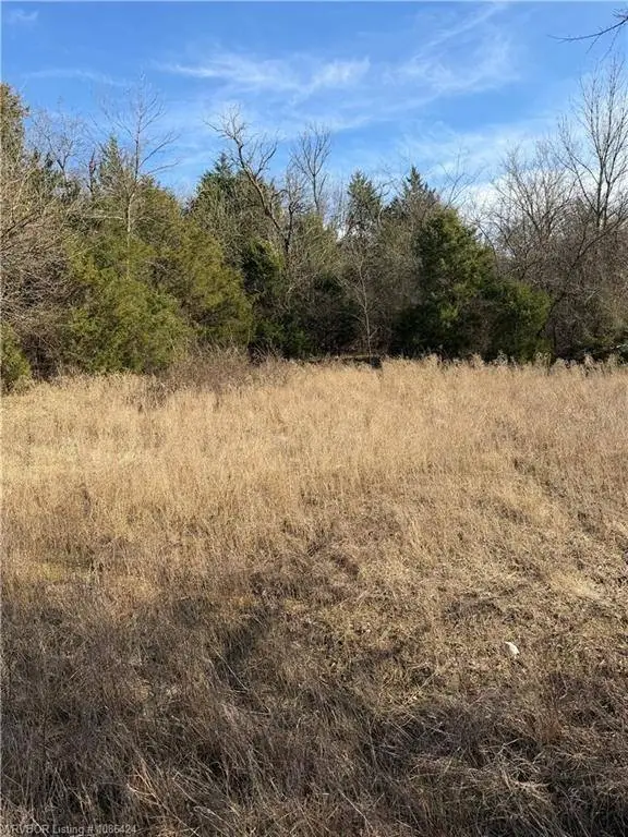 Picture 16