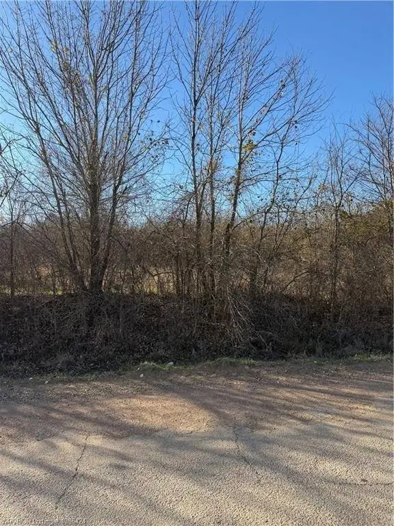 Picture 11