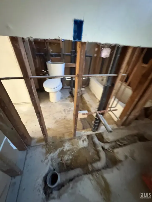 Picture 16