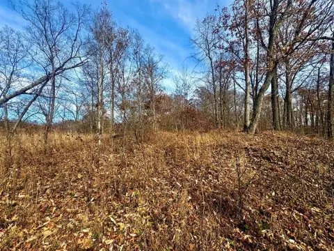 Raccoon, KY Residential Land