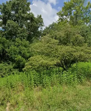 Residential Land in Louisa, KY