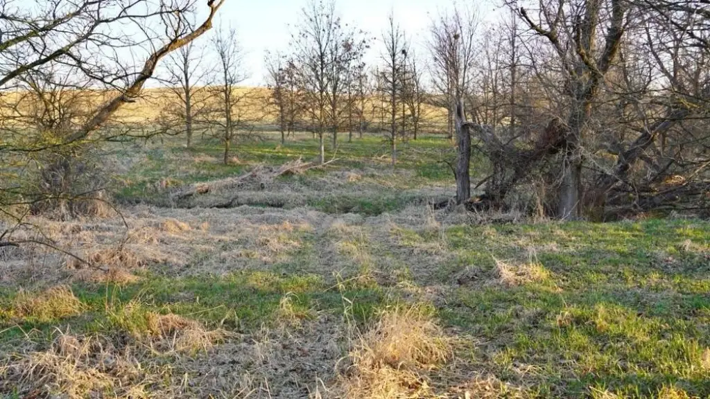Picture 24