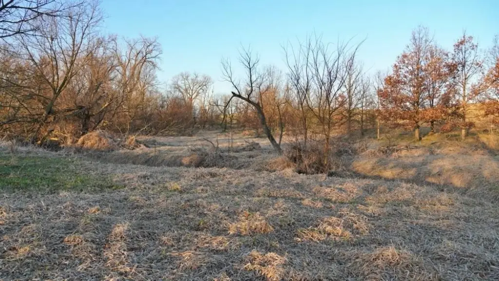 Picture 19
