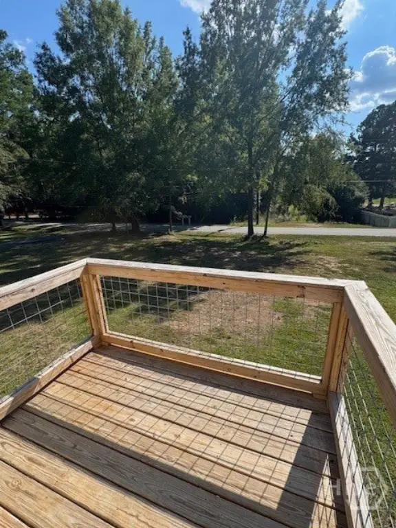 Picture 23