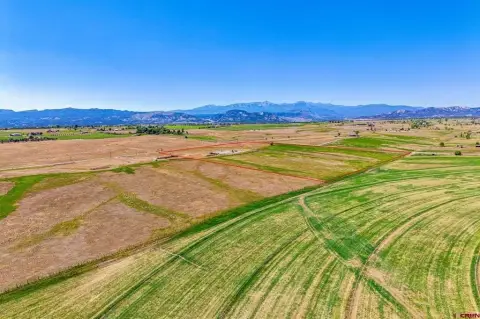 Irrigated Agricultural Buildable Parcel