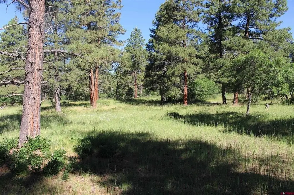 Picture 17