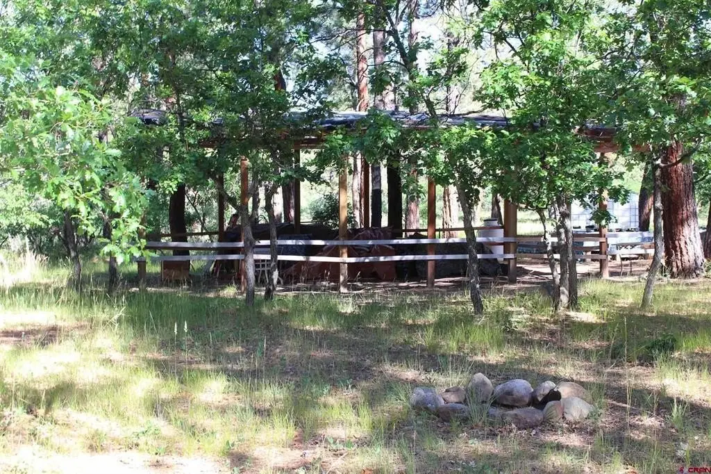 Picture 10