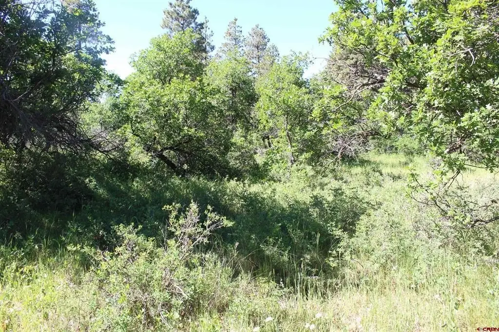 Picture 36