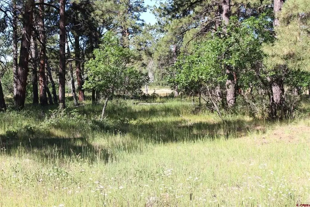 Picture 21