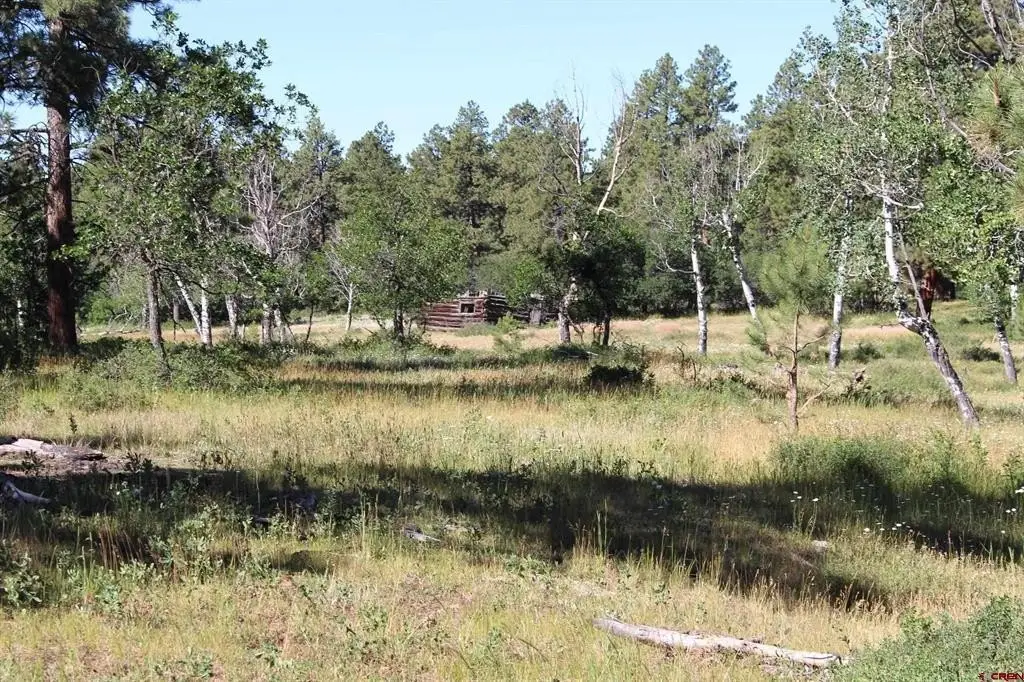 Picture 23
