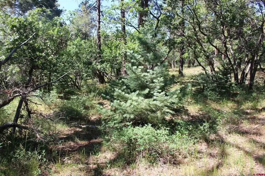 Picture 39
