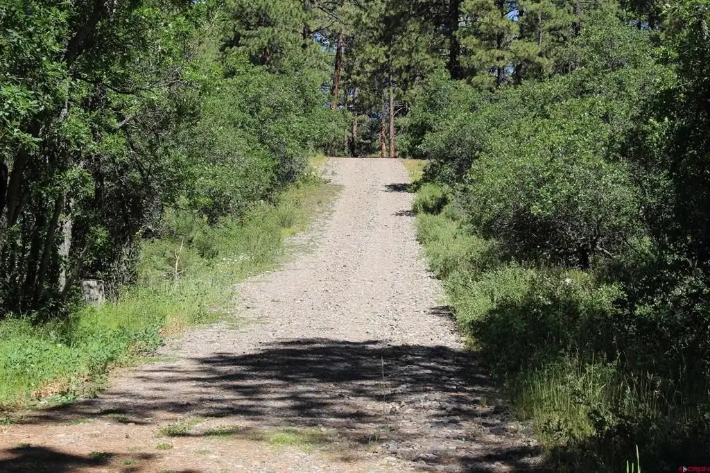 Picture 43