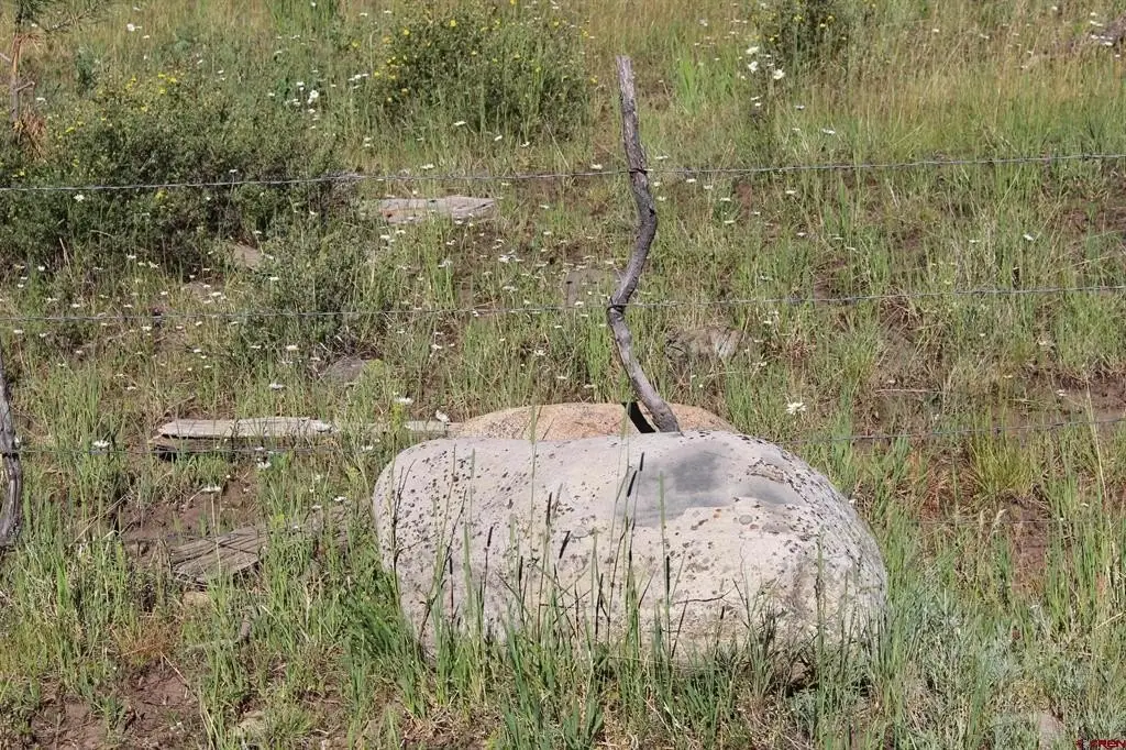 Picture 28