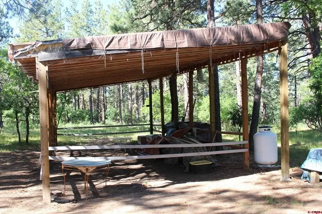 Picture 14