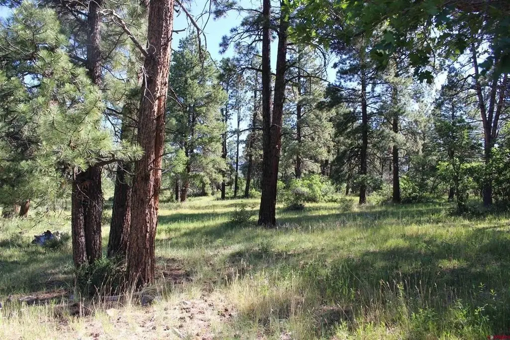 Picture 25