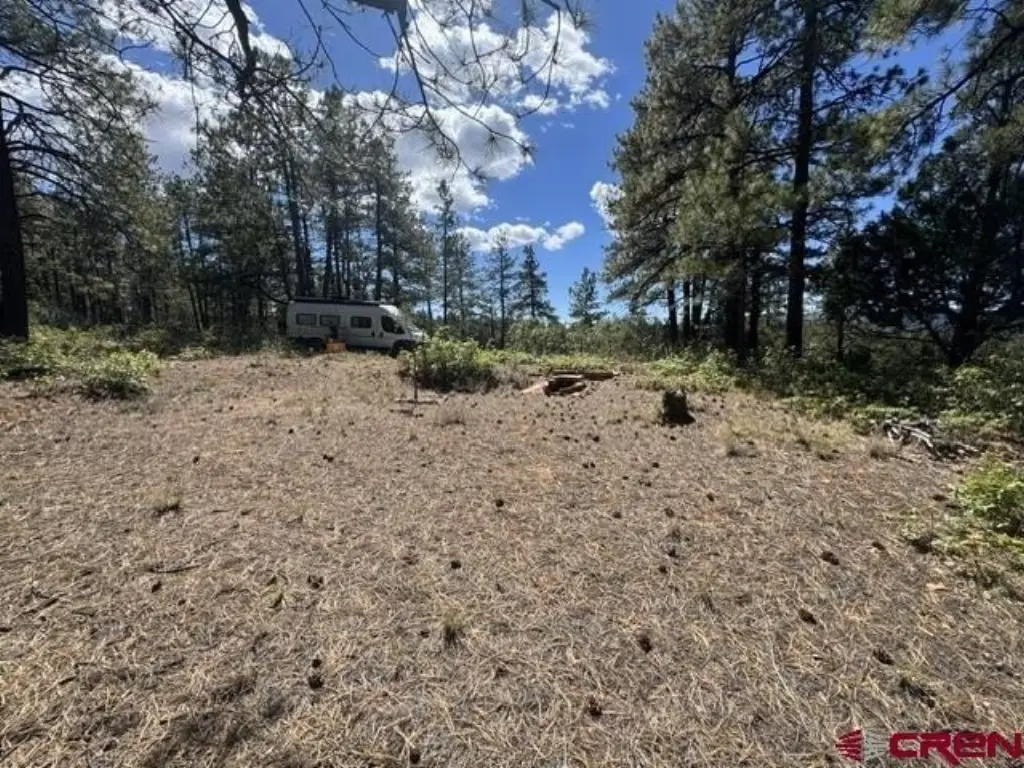 Picture 20