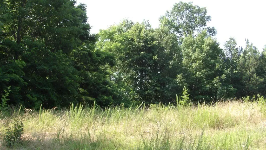 Picture 13