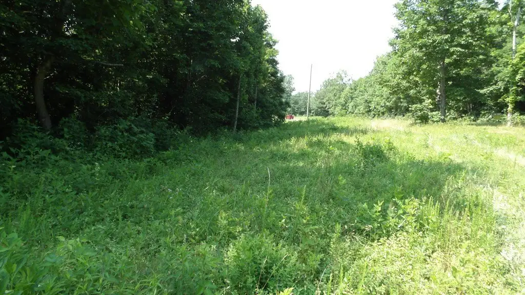 Picture 34