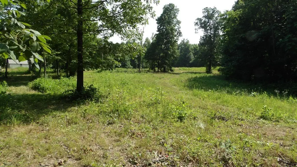 Picture 25
