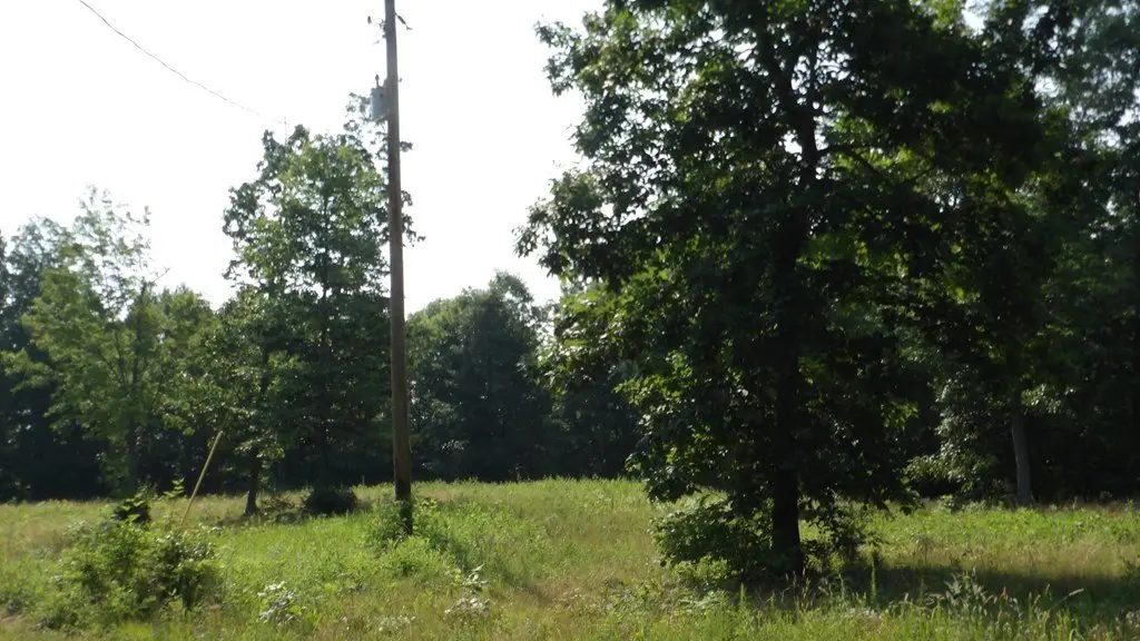 Picture 18
