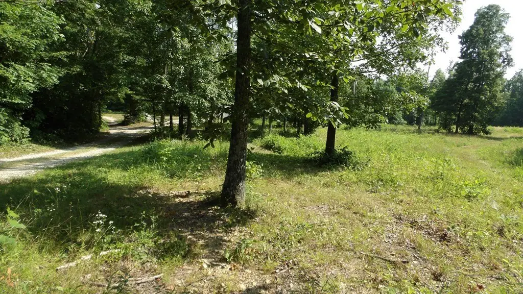 Picture 29