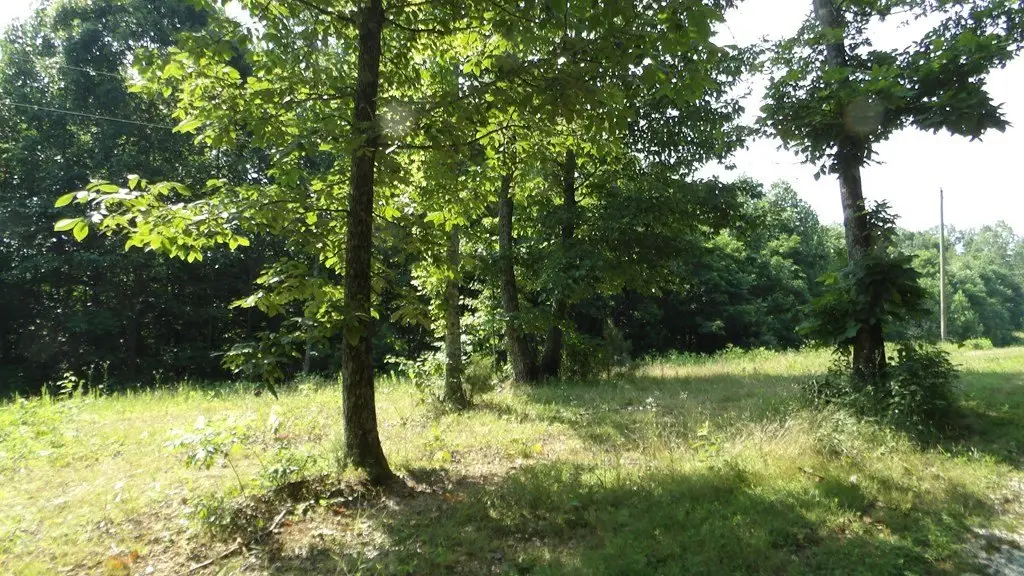 Picture 21